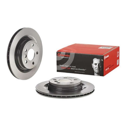 Brembo Brake Disc (Rear)