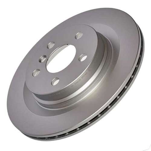 Pagid Brake Disc (Rear)